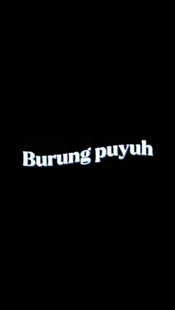 burung puyuh