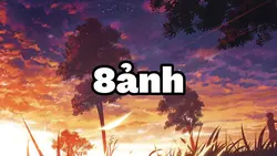 Show 8ảnh