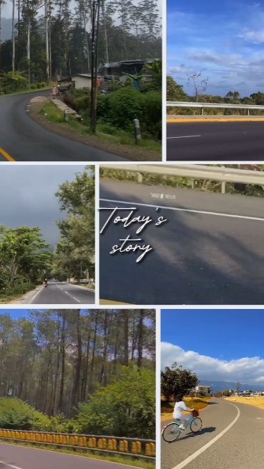 Today Story Grid