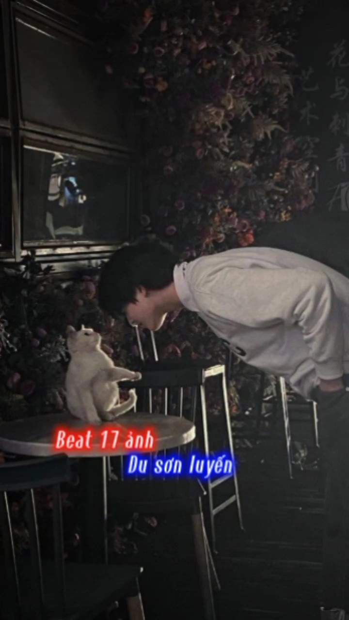 17 'yi yendi