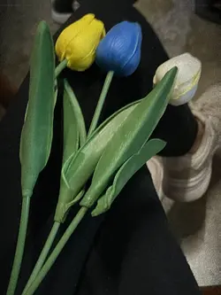 tulips