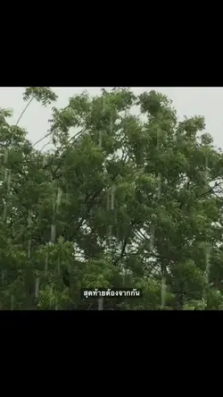 หลายคลิปซ้ำๆ