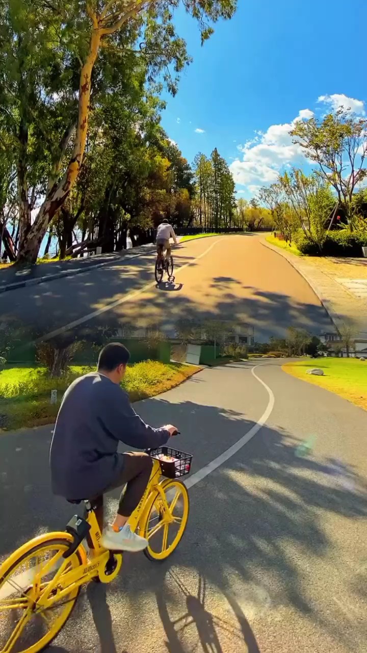 2 vídeos 