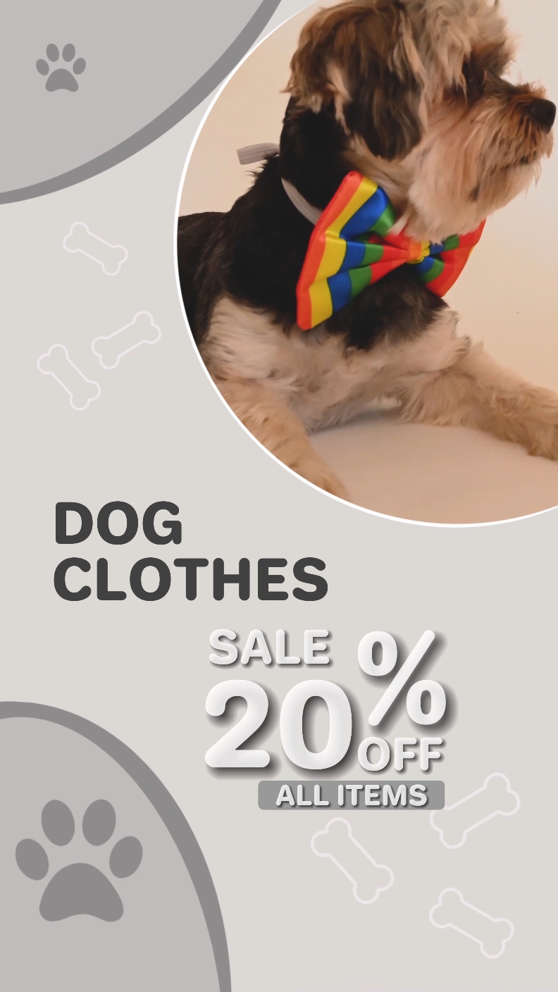 Promoción De Ropa Para Mascotas
