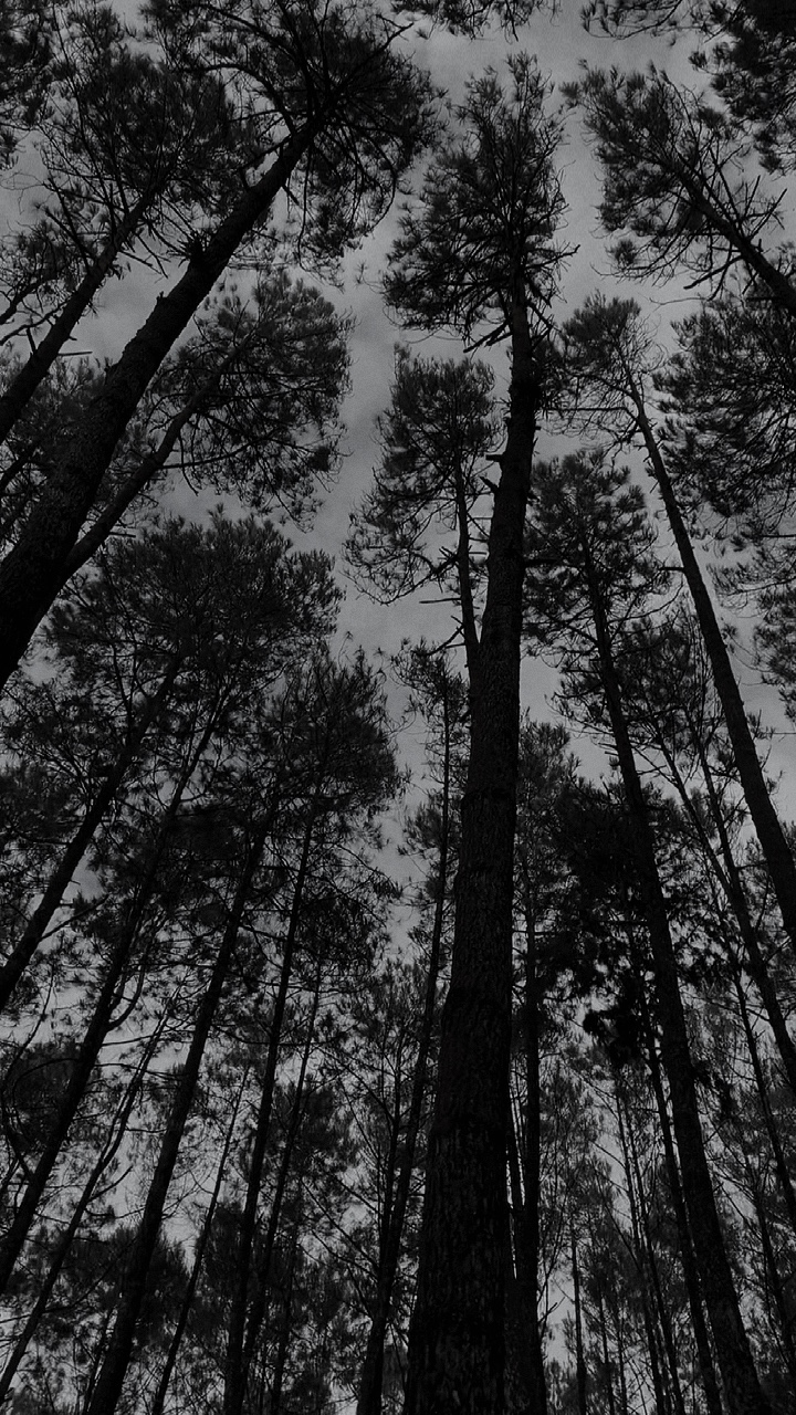 Black and white