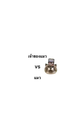 เจ้าของแมว vs แมว
