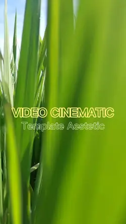 Template Cinematic