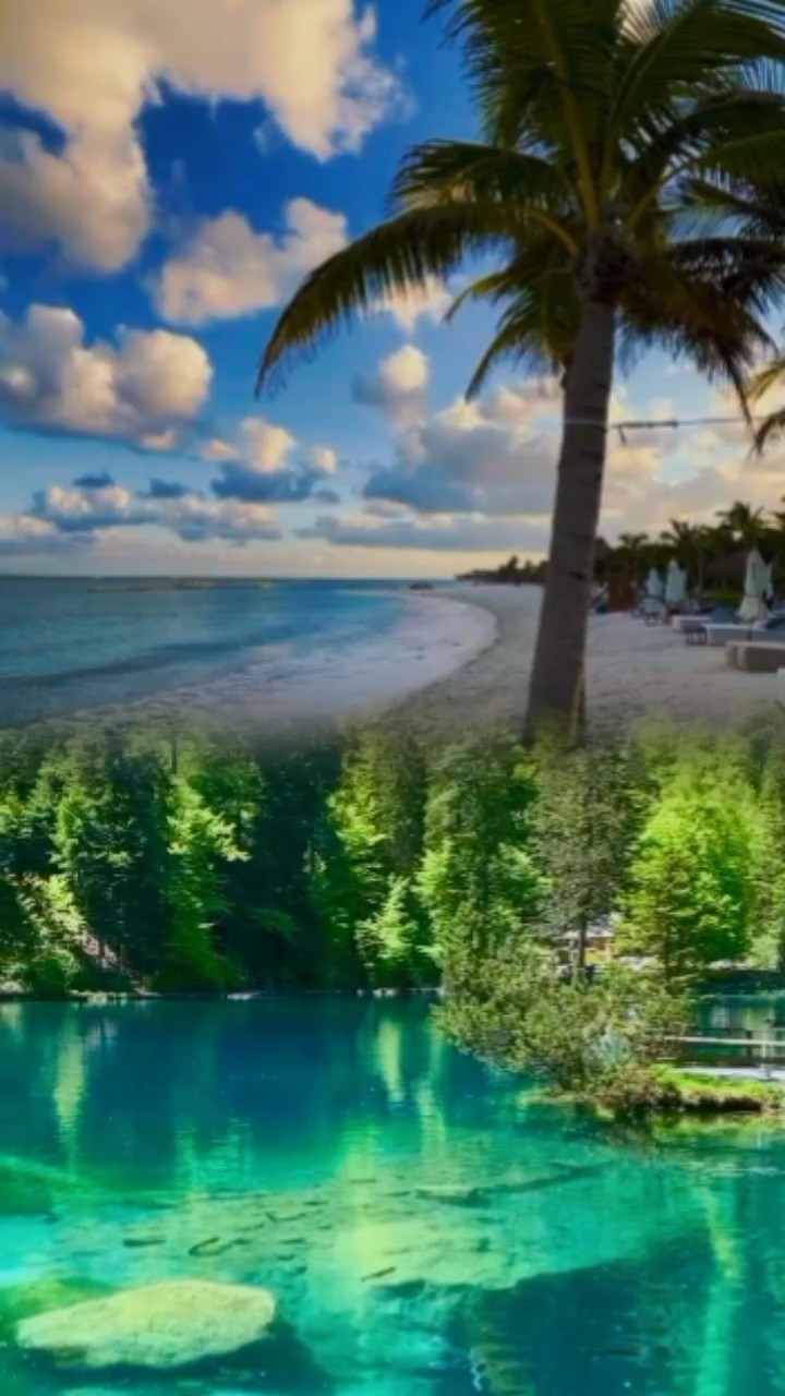 2 vídeos 