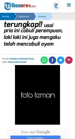 versi ayam cabuli