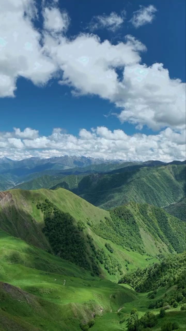 10 foto