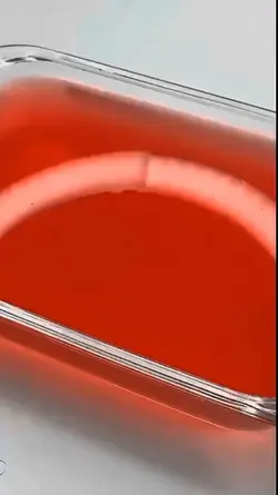 Mentahan Slime