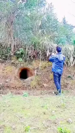 Goa Naga ³¹