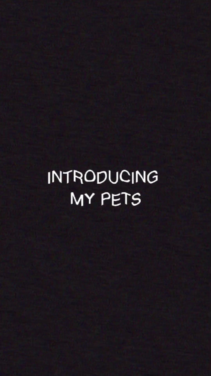 # Introducingmypets