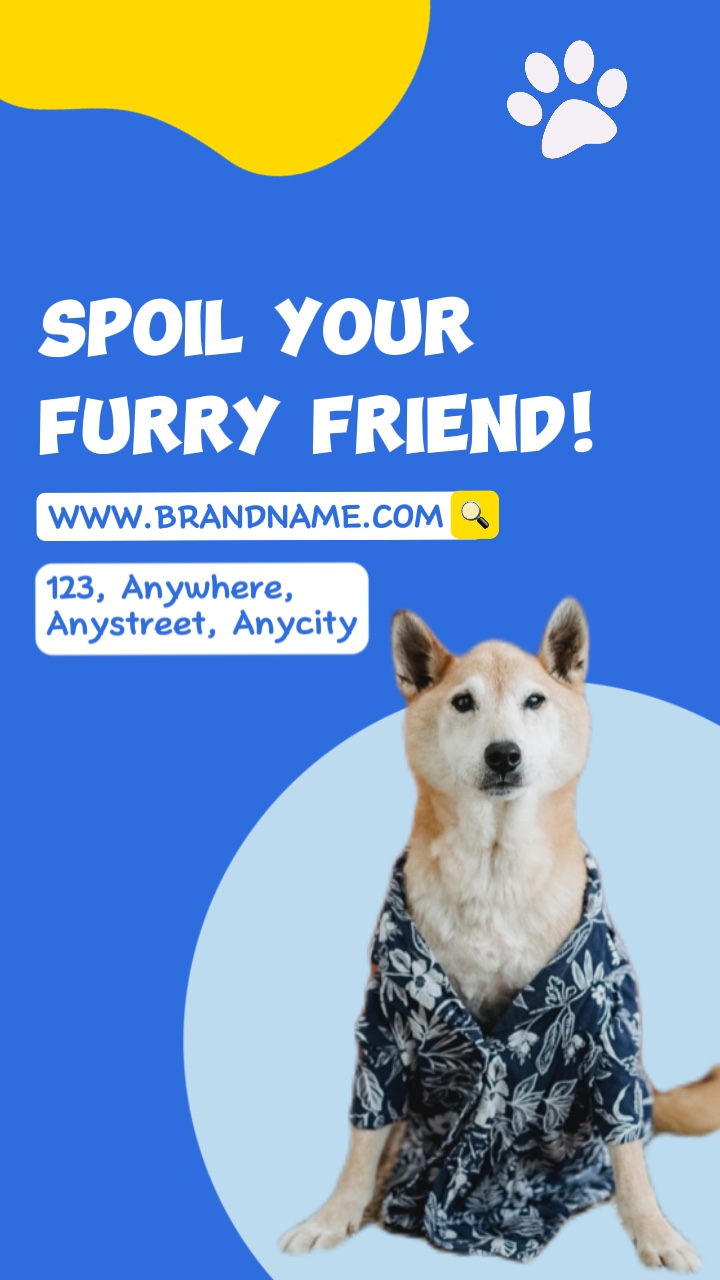 Pet Clothes Sale in Bright Style