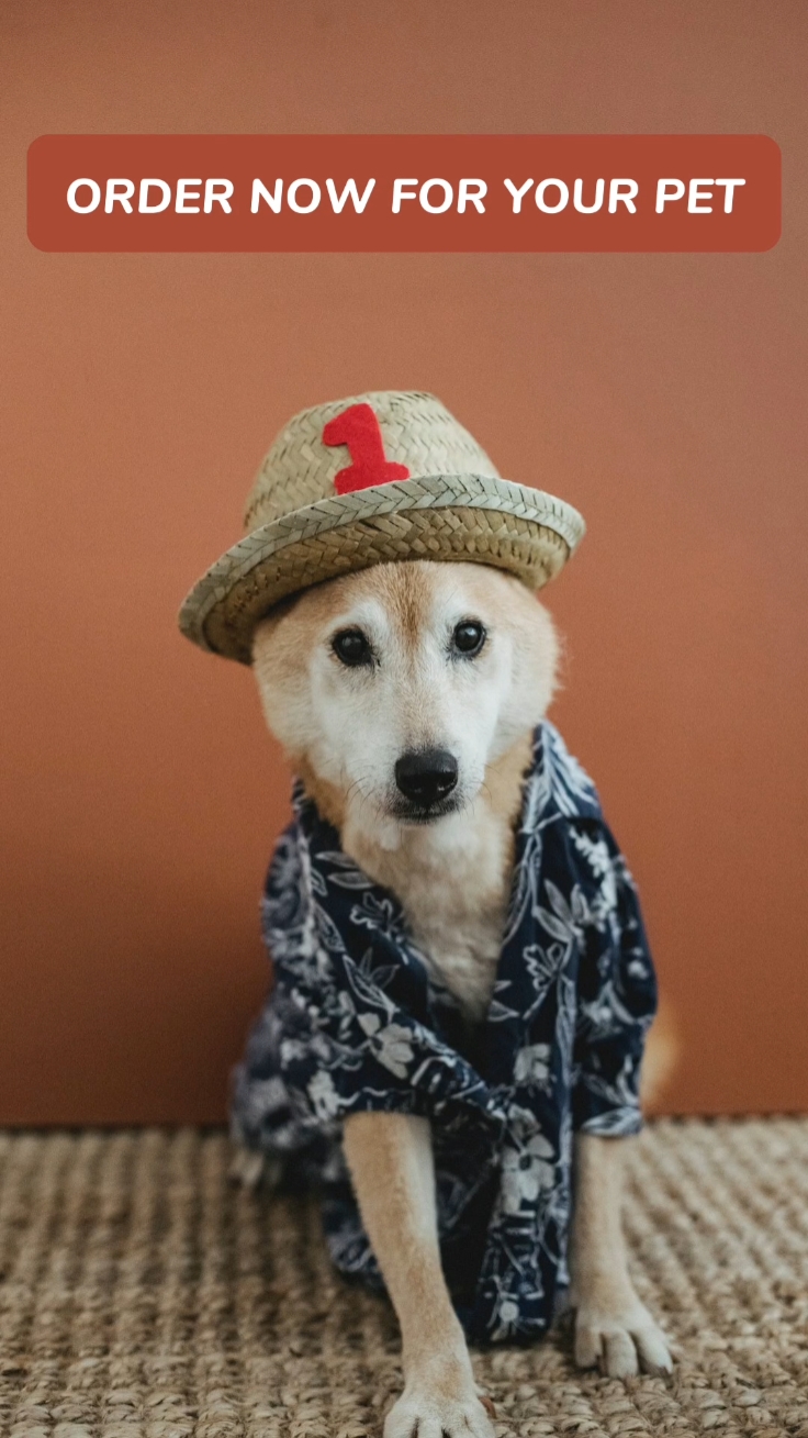 Ropa Para Tu Mascota