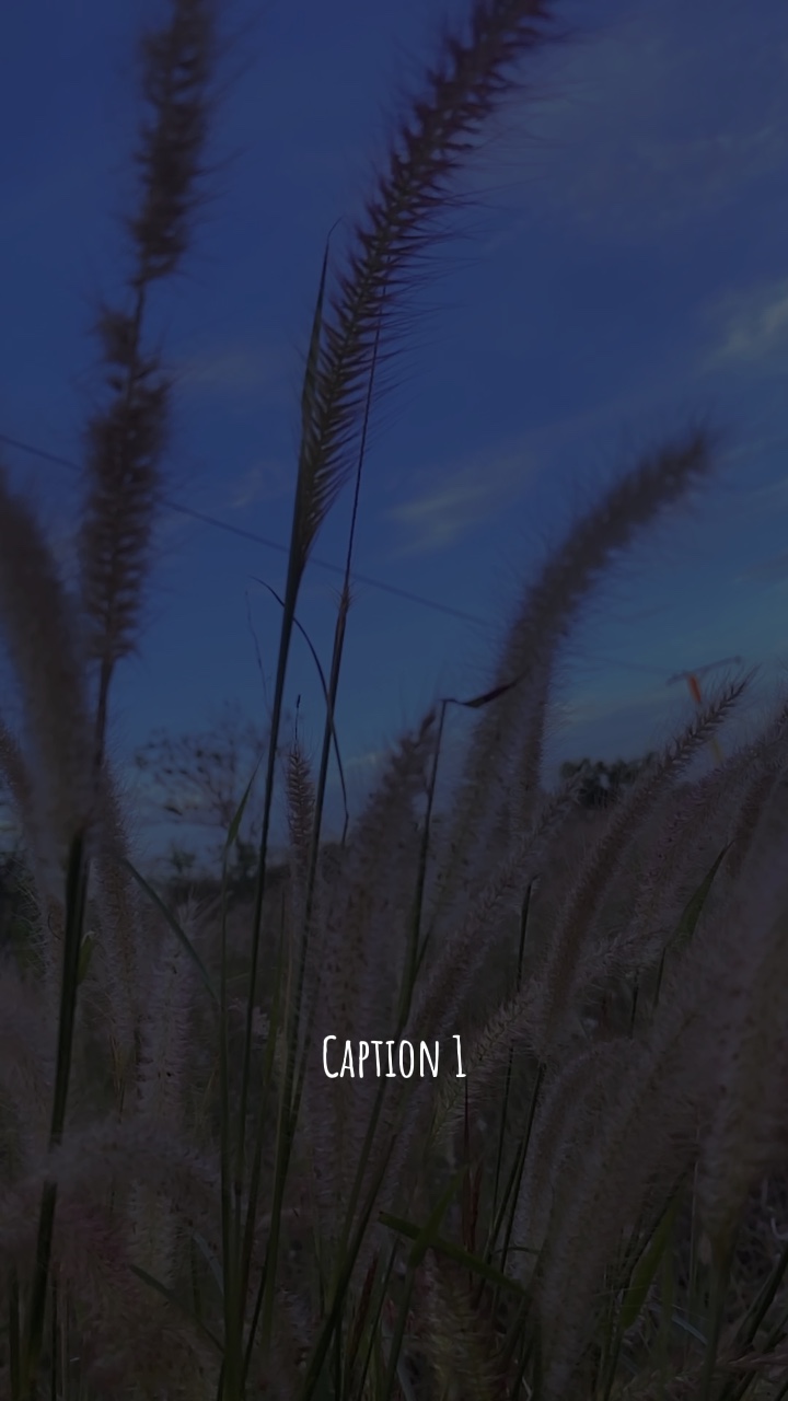 Ceritakan kisahmu