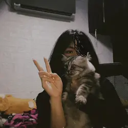stopmotion