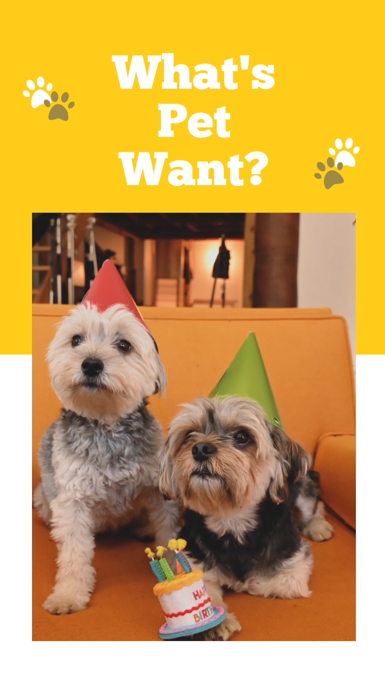 Produto para casa para animais de estimação 