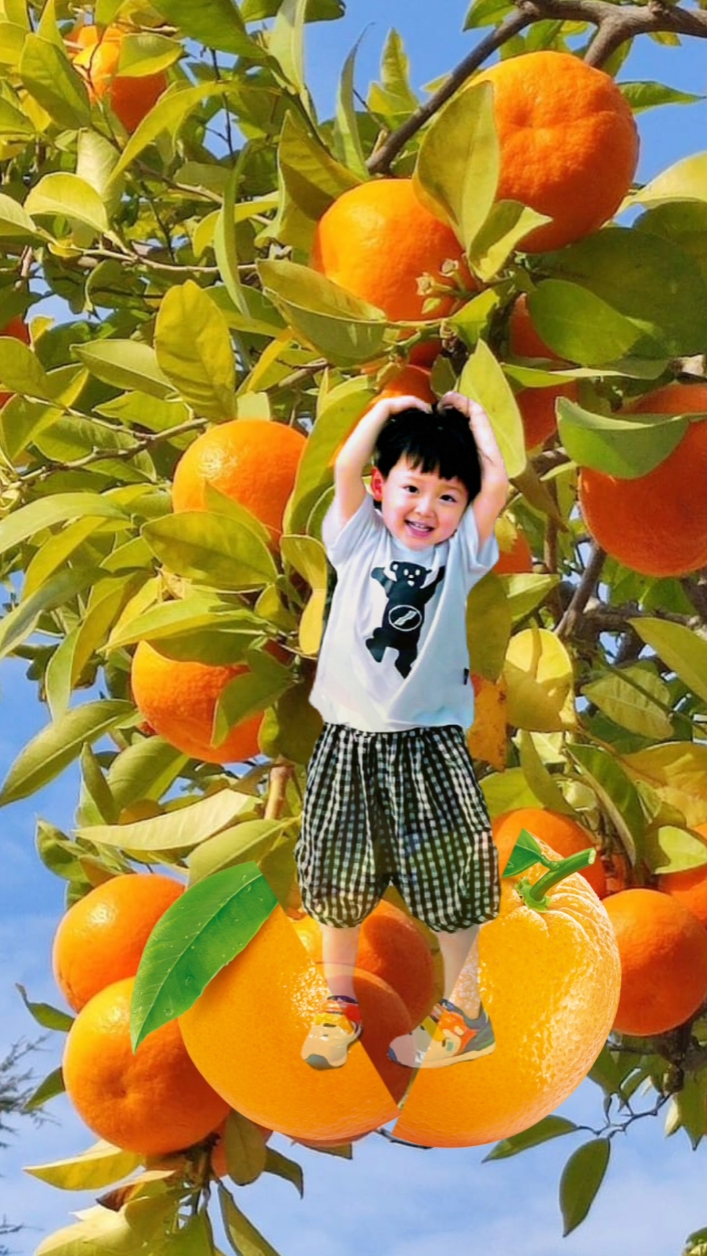 baby buah 