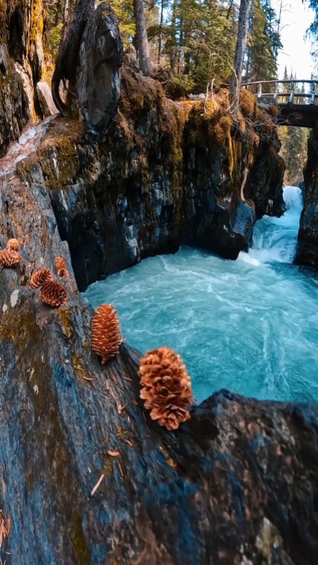 Naturaleza simple