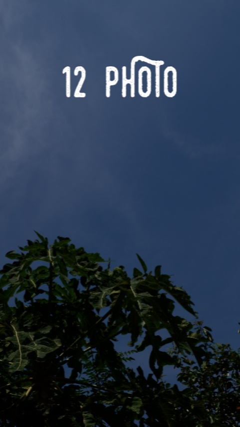 12照片 