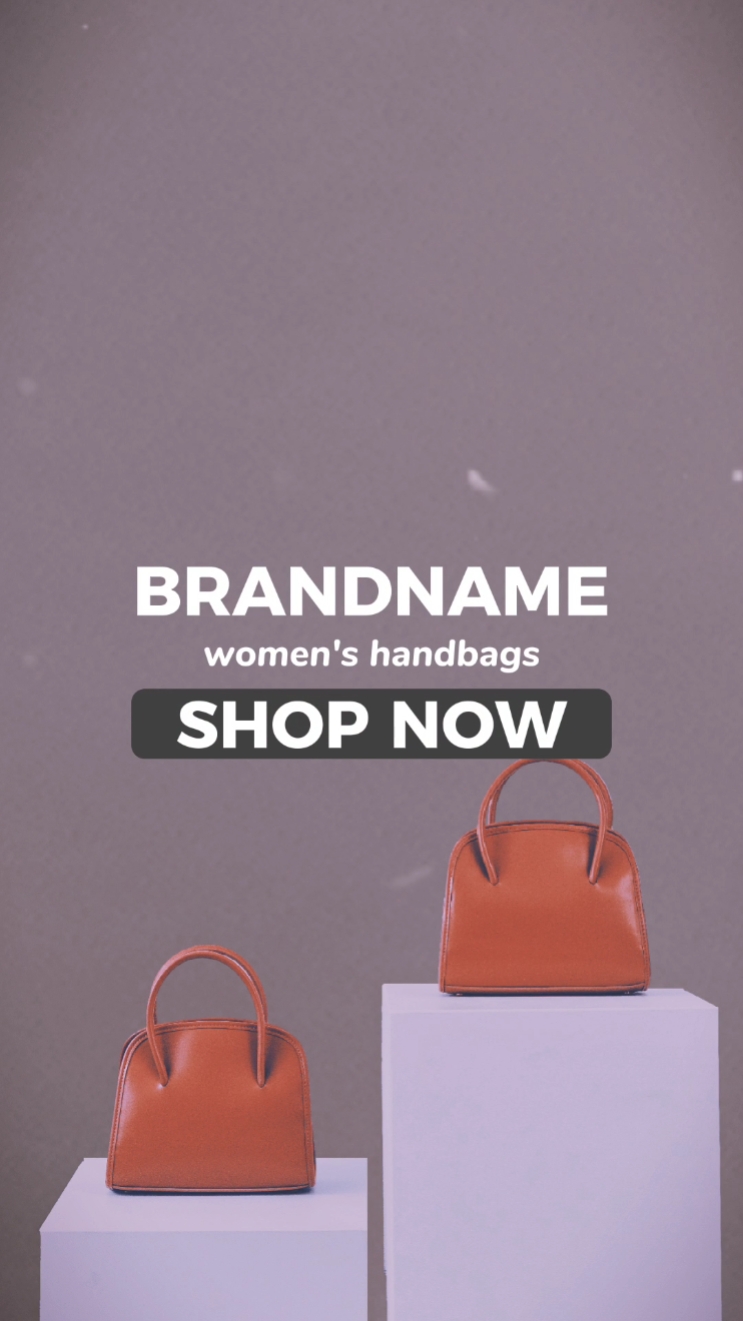 Women's Handbags Branding In Retro Style