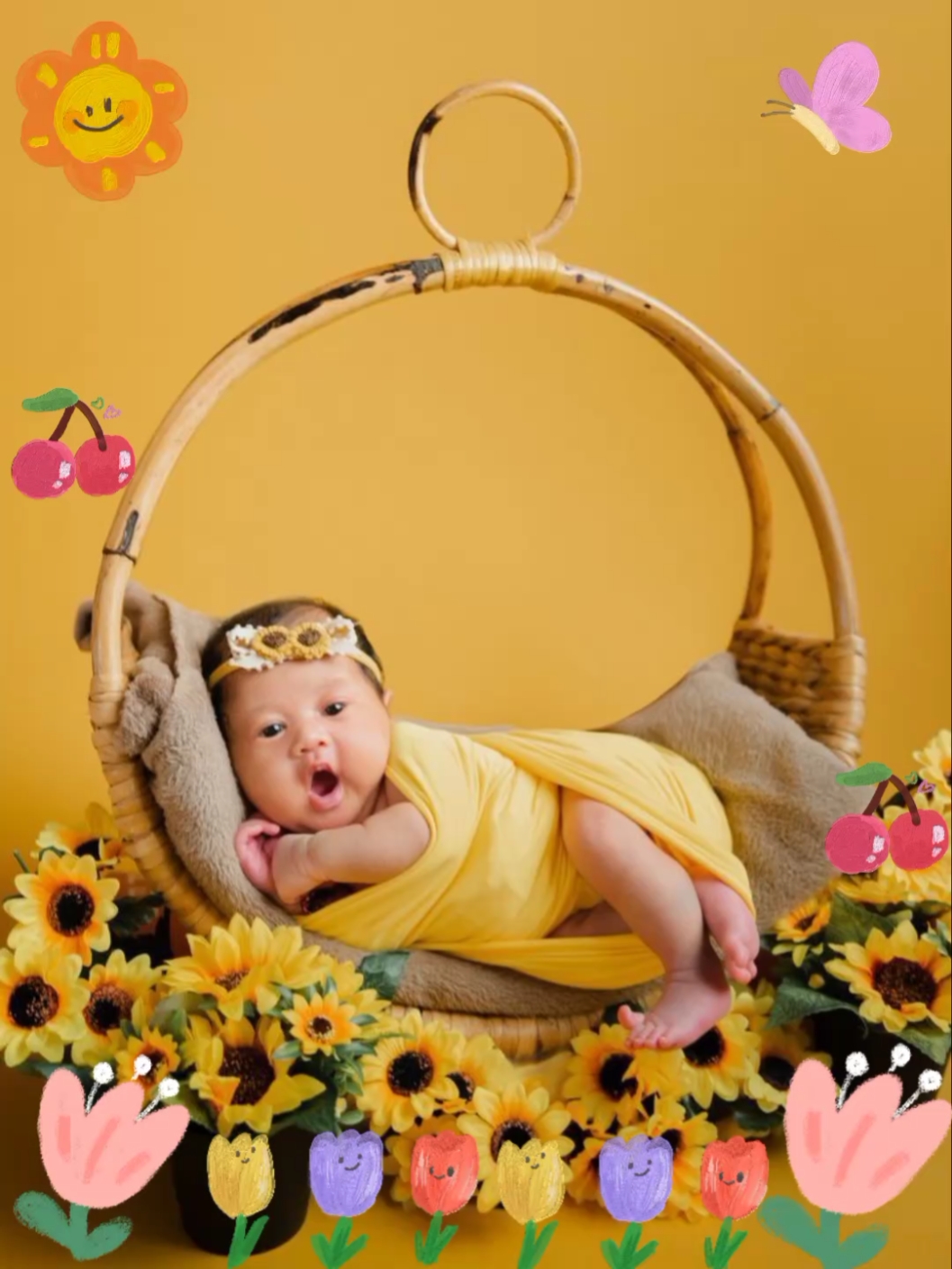 Albüm bayi