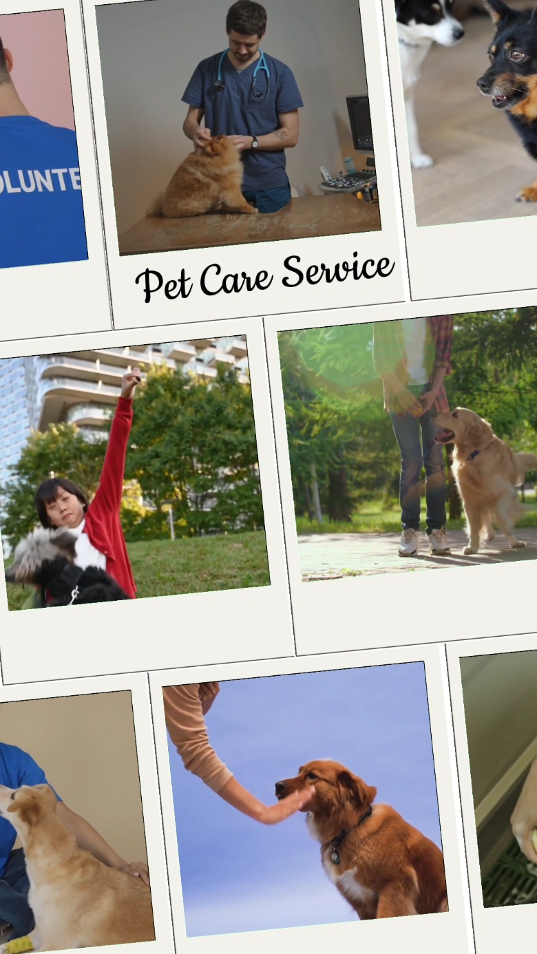 Pet Care Service Promo - Collage Style