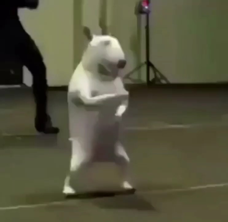Solo diversión