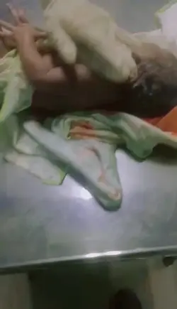prank siap Lahiran|