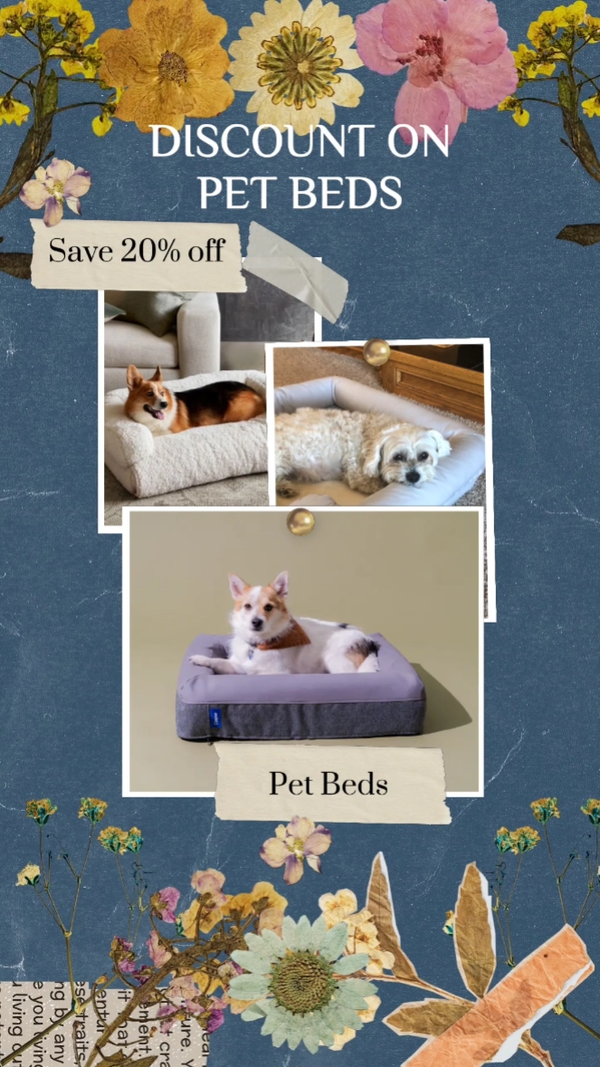 Vente du week-end de produits pour animaux de compagnie