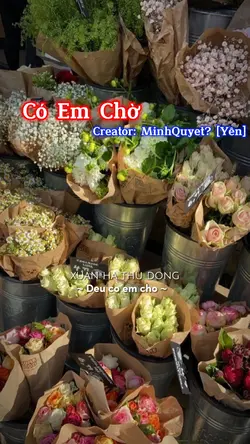 Beat 3 Ảnh Xịnn