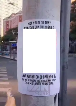 Mẫu Troll bạn bè
