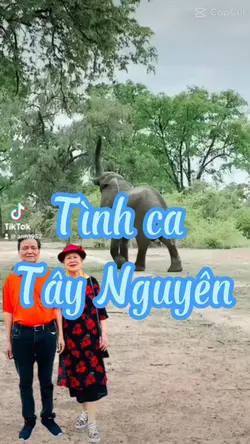 Tình ca Tây Nguyên