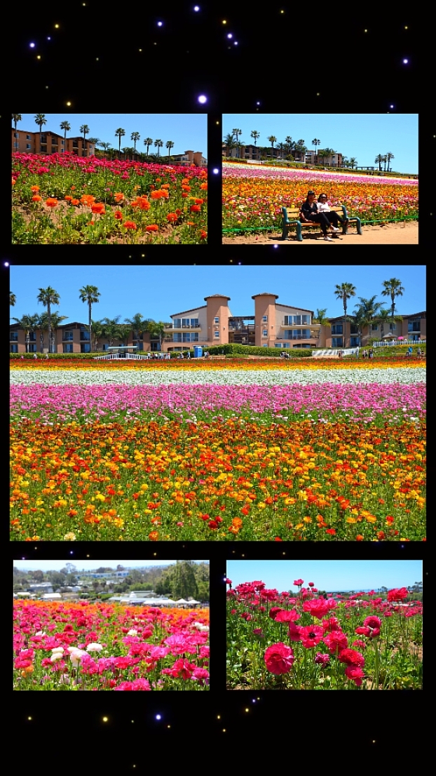 6 landscape shots