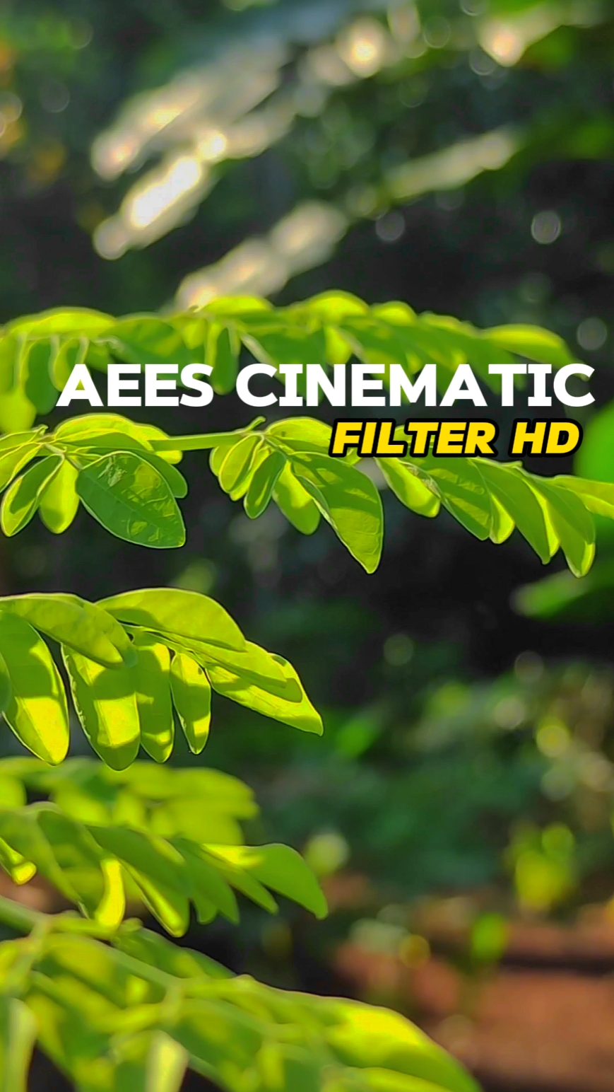 Aees Cinematic