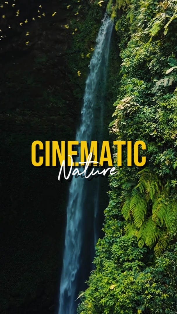 CINEMATIC NATURE