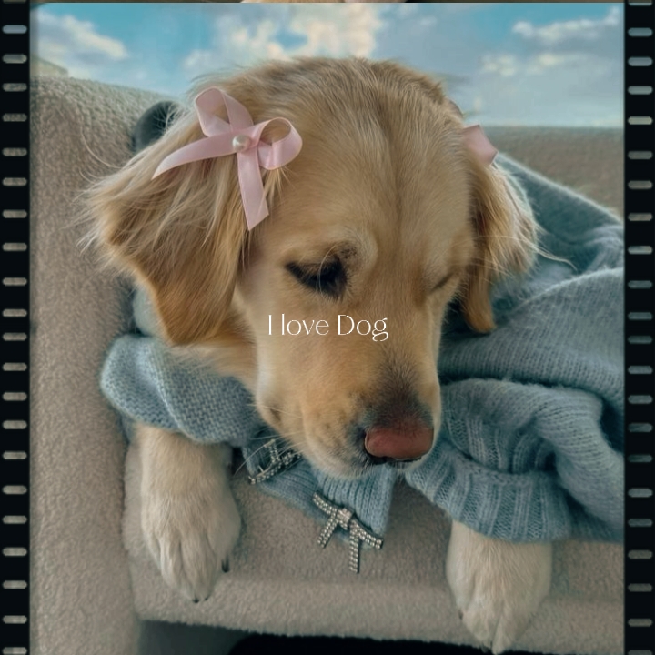 Love Dog
