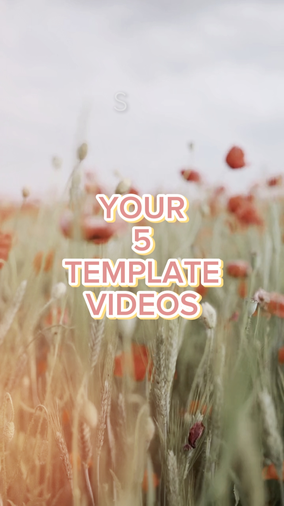 5 videos template 4u