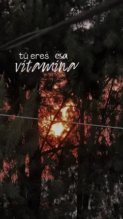 Nada sin ti
