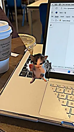 KICAU MANIA KUCING