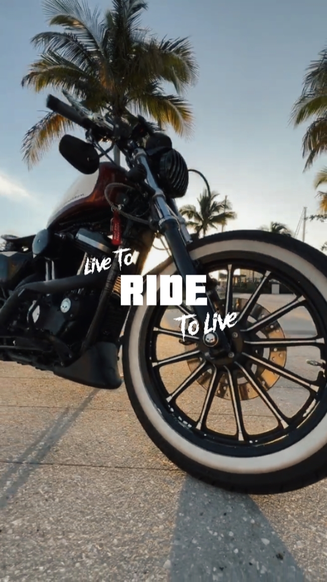 Speedramp Motorcyle
