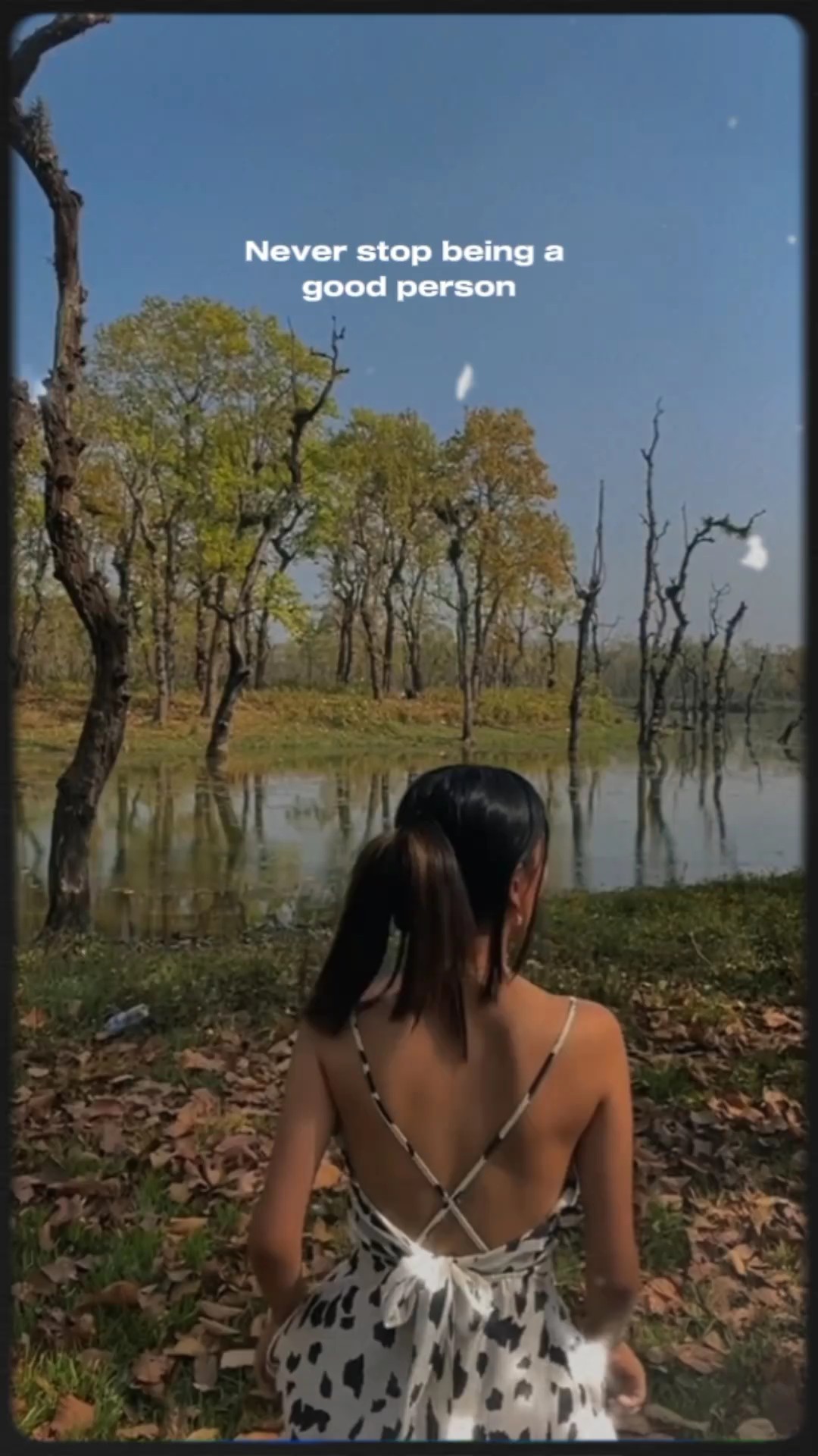 Bondade é beleza