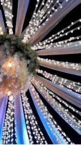 Cloches Shaadi