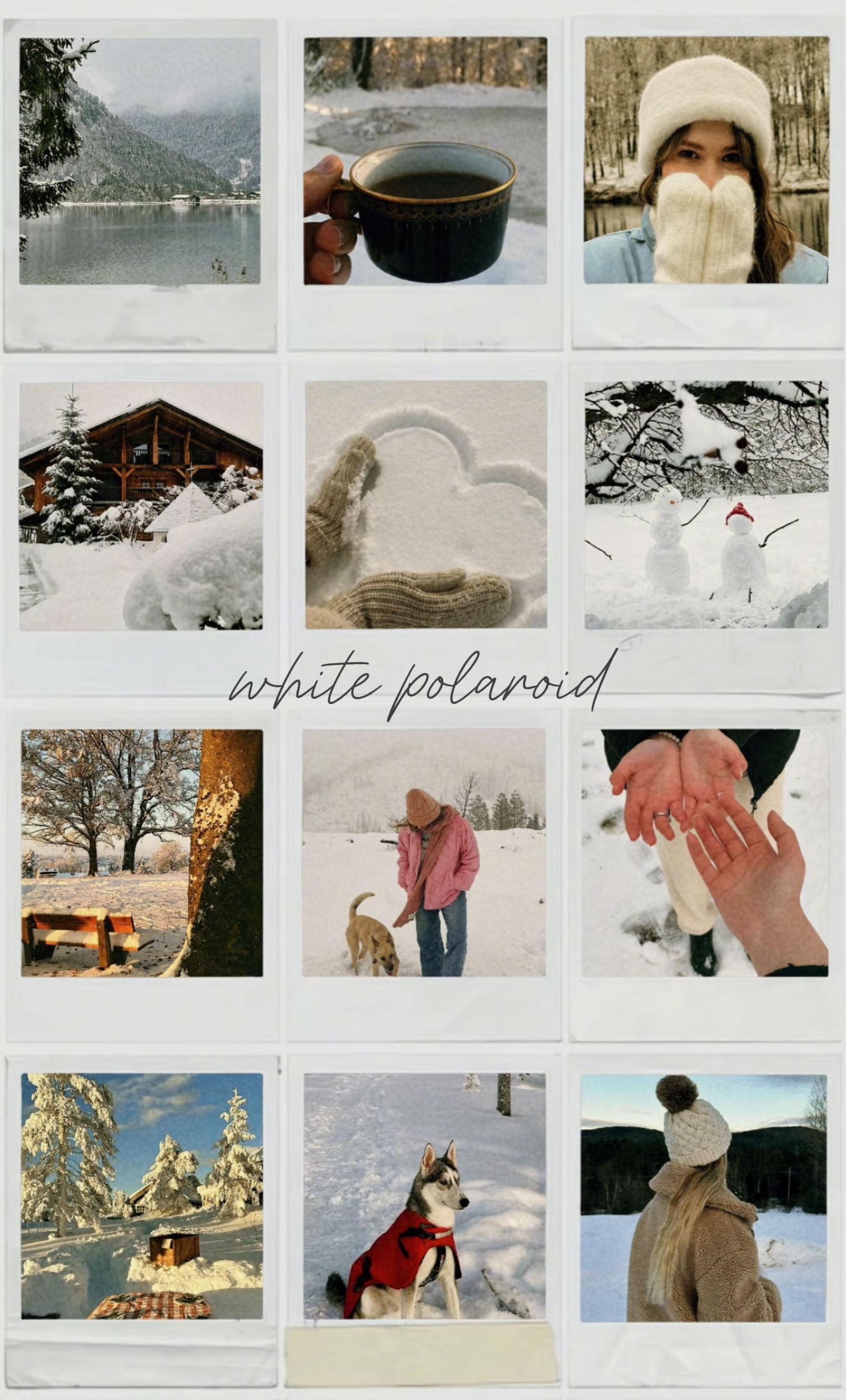 White polaroid📷