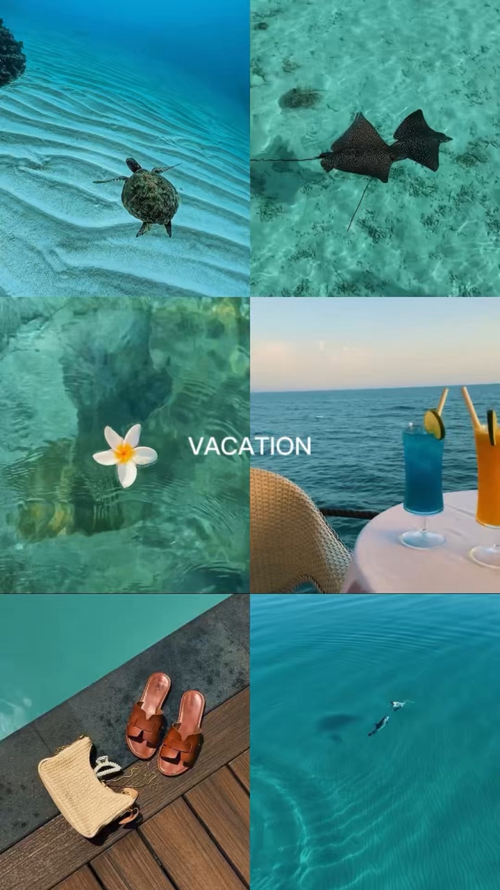 Vacaciones 