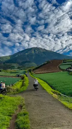 langgam jawa