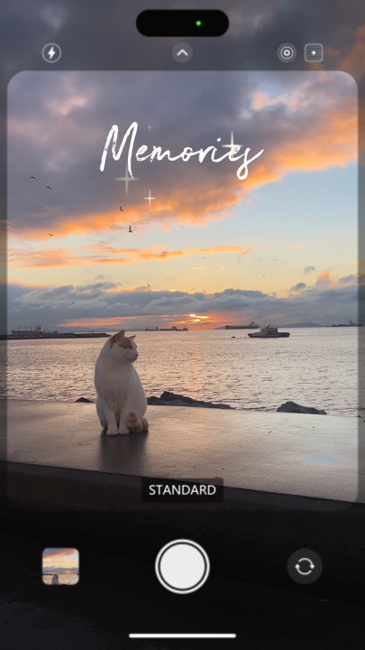 Pet memories