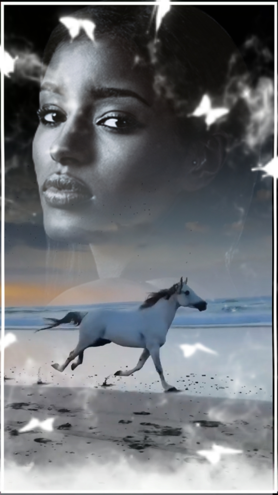 Cavalo De Iluminação 