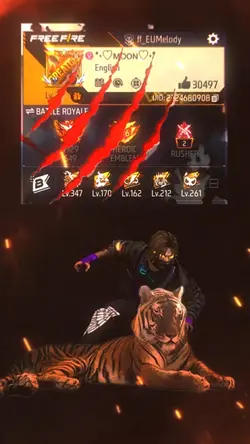 MVP 